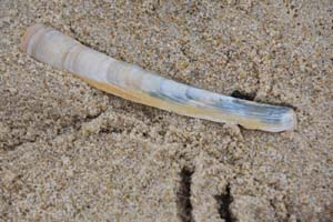 19-05-31_Sylt_0030_GA2_1443