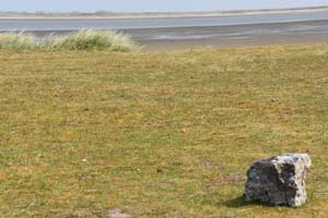 19-06-01_Sylt_0091_GA2_1568