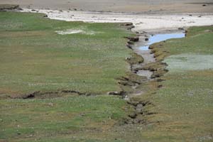 19-06-01_Sylt_0120_GA2_1587